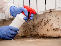 Best Mold Odor Removal Services  in Lowesville, NC